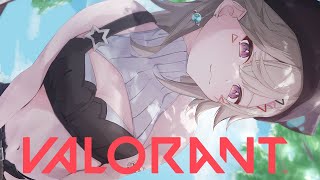 小森めとの配信のサムネイル画像