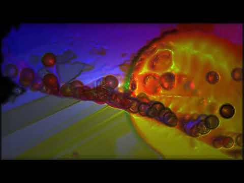 Harmonic Frequency -