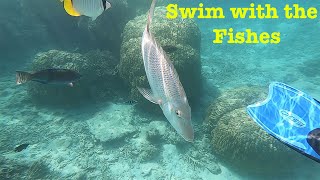 Snorkeling the shallow reefs of Okinawa