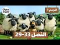 شون ذا شيب الموسم 1 الحلقة 29-33 | العودة إلى المدرسة  🚌🔔