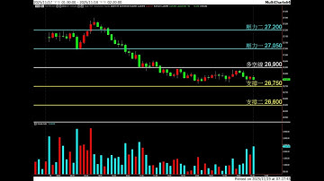 20251119 盤前分享