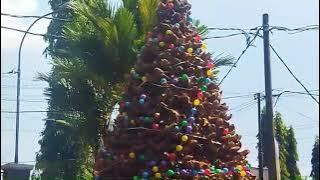 #LIMBAH SABUT KELAPA UNTUK POHON NATAL, KREATIVITAS TIADA HENTI