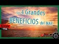 Los 4 grandes BENEFICIOS del MAR// Revista + D // 🎥 EMC 🎥