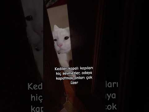 18 Ocak 2025