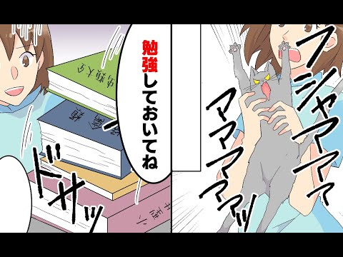 【漫画】動物看護師とはどういう仕事なのか？