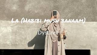 La (habibi mush banaam) - Dystinct || speed up version Resimi
