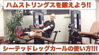 ハムストリングスを鍛える!シーテッドレッグカールの正しい使い方!初心者向け