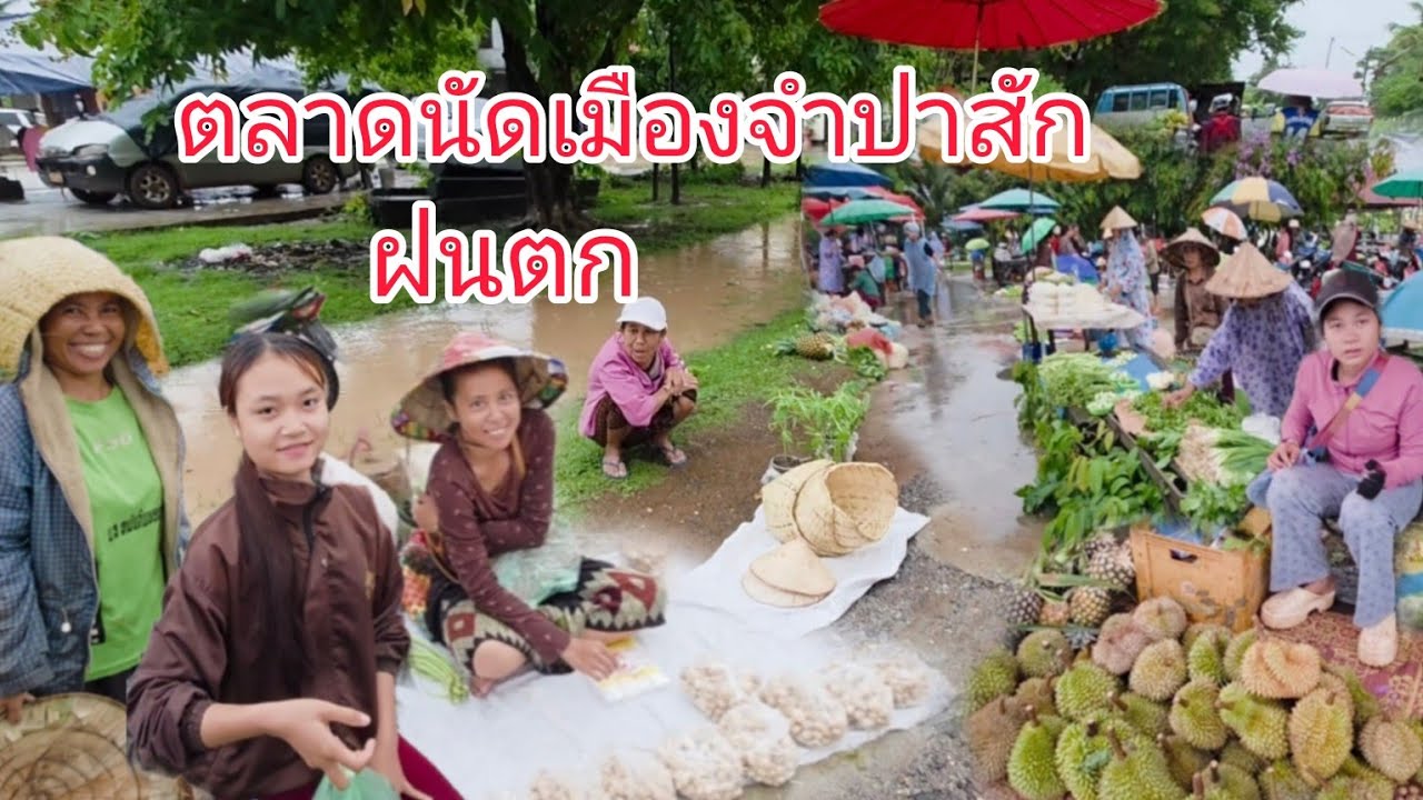 #เที่ยวลาวใต้ พายุเข้าฝนตกทั้งวัน #อาหารตามฤดูกาล ตลาดนัดเมืองจำปาสัก ทุกเช้าวันศุกร์ #สปปลาว#สาวลาว