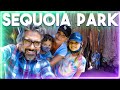 Visitando el Parque Nacional de Sequoia con la familia! | Jaime Camil