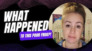 Full Another AI Crochet Pattern Fail News