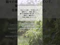 日常読誦経典 慈経 より 解脱という 目的をよくわきまえた人が 静かな場所へ行ってなすべきことがあります 日常読誦経典 慈経 より 解脱という 目的をよくわきまえた人が 静かな場所へ行ってなすべきことがあります
