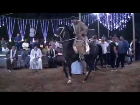 رقص خيل بدر شتيوى و فرعون حفلة أحمد سعد