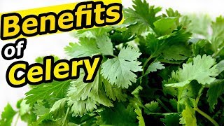 5 Incredible Health Benefits Of Celery For Skin, Hair, And Health | HealthCare.