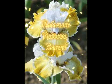 Марина с днём рождения