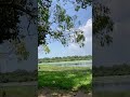 #nature #srilanka #travel #trending #sunset #animals #wildlife #viralvideo #love #beautiful #awesome