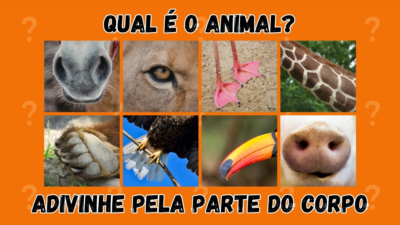 🐾 Que Animal é Esse? Acerte Pela Parte do Corpo | Desafio Animal 🧠
