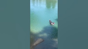 This song supposed to match the last video on your camera roll ￼