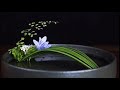 插花藝術--固定和造型花枝，簡單，易學--Flower Arrangement Ideas- ikebana #chahua #Flower Arrangement