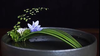 插花藝術固定和造型花枝簡單易學Flower Arrangement Ideas ikebana #chahua #Flower Arrangement