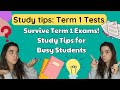 Term 1 Tests Study Tips: Last minute study tips for your term 1 exams!