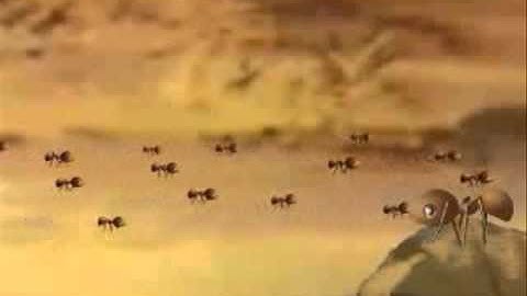 مقطع رائع جدا من سورة النمل  للقاريء عبد المنعم عبد المبديء