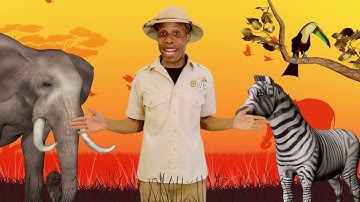 ABC Song | Zoo Crew Alphabet Song for children learning letters