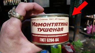 Мясо мамонта: какое оно было на вкус?