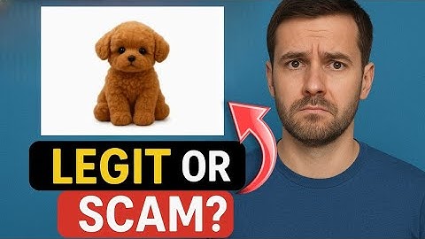 Wuffy Robot Dog 2025 Review – High-Tech Puppy or Just Overhyped Hype?