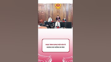 Ngọc Trinh bị phạt một năm tù nhưng cho hưởng án treo