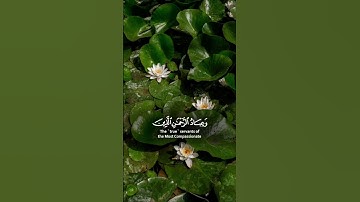 ماتيسر من سورة الفرقان للقارئ الشيخ سعود الشريم ♥️🌿