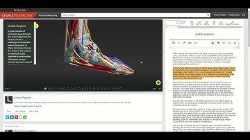 Gale Interactive: Human Anatomy