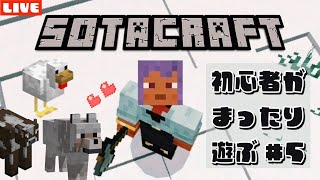 【マインクラフト】オオカミをお供にしたい！完全初心者が遊ぶマイクラ実況配信！【Minecraft】