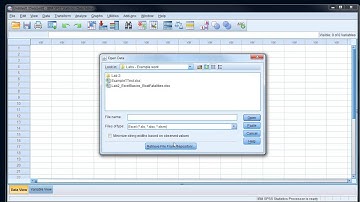 SPSS - Two sample t-test - Part 1