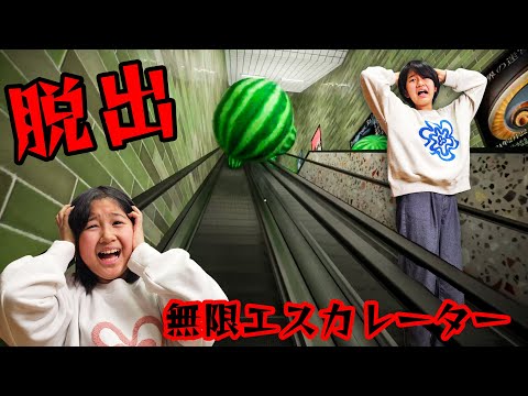 みんなビビっちゃダメ！！無限エスカレーターから脱出！ゲーム実況himawari-CH