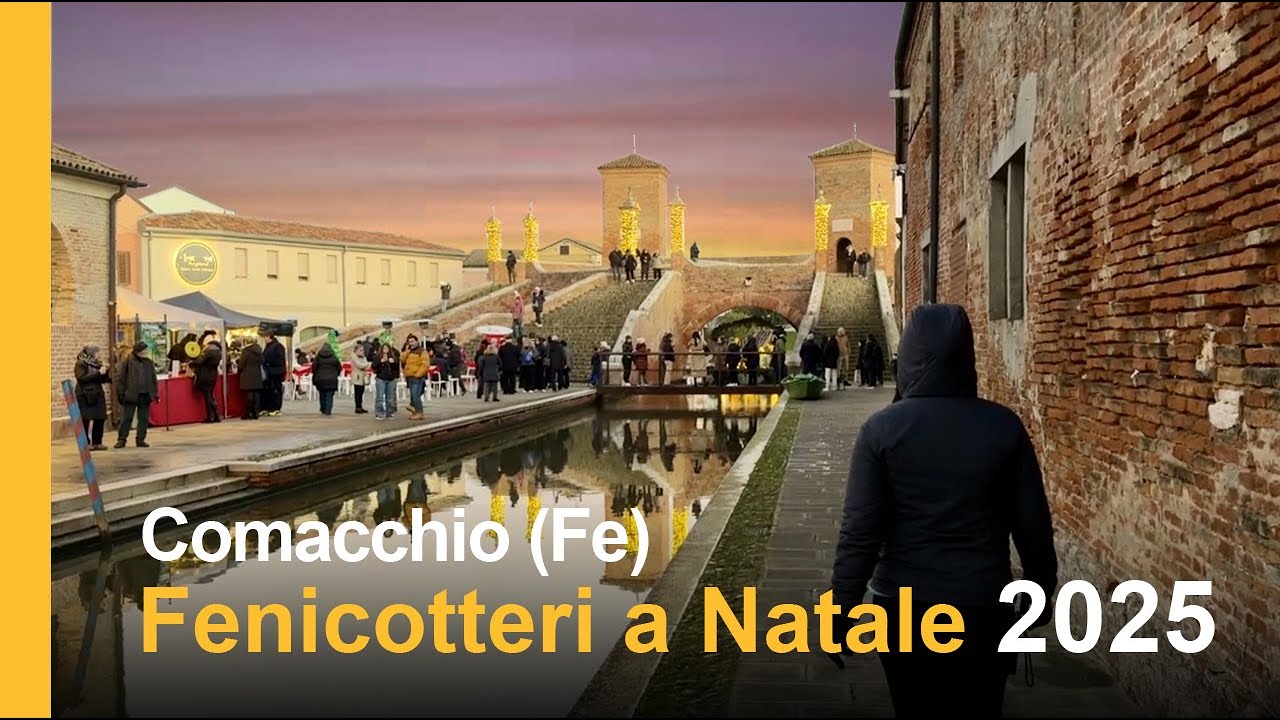 Comacchio (Fe) Fenicotteri a NATALE 2025