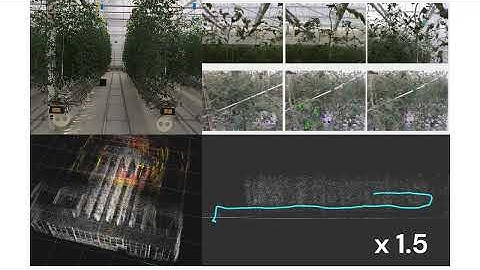 Cherry Tomato Counting with Automatically Controlled Drone, 2025 ICRA Workshop on Field Robotics
