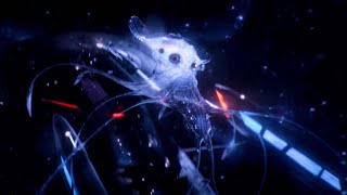 Riker Scares the Space Jellyfish by Going to Warp Right Next To Them . Star Trek Picard vs TNG