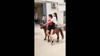 Two Girls Riding On A Tiny Pony