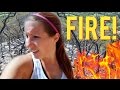 Caught in a WILDFIRE! 🔥 🔥 😱