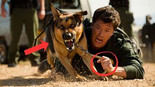 The K9 Became Uncontrollable During the Search — Until His Veteran Handler Did Something Unexpected Information