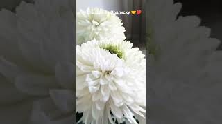 Просто  душевно Подпишись ❤️