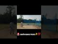 day 100🔥 New bat #cricket #viral #ipl