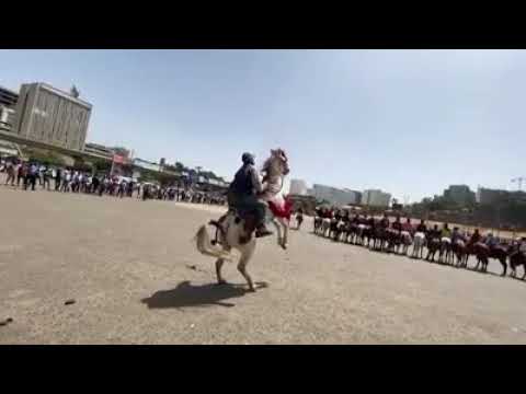 Odaa Nation Oromo Horse Men