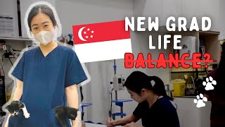 opening up about new grad vet life in Singapore 🐾 by May Yean 2,674 views 9 months ago 14 minutes, 17 seconds