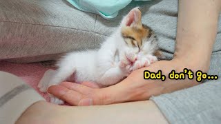 Rescued 200g Tiny Kitten holds My Hand tightly even when sleeping