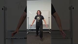 Yang Style Taiji Quan Natural, T, Bow and Empty Stances