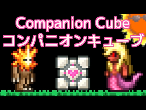 テラリア コンパニオン キューブ