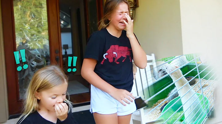 WE SURPRISE AYDAH WITH HER DREAM PET!! *EMOTIONAL REACTION*