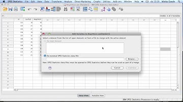 SPSS  Merge Cases & Variables 2 3