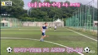 ⚽ SPOT-TREE FC 스포트리 축구 수업 ⚽